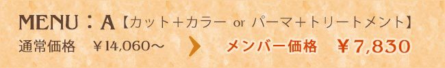 newmember_A_02.jpg